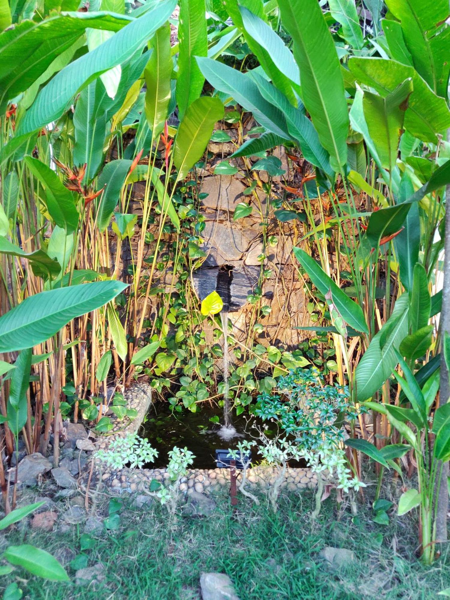 Rock Forest Goa Honeymoon Cottages Калангуте Екстериор снимка